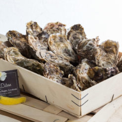 Huîtres des Marais N3 au kg