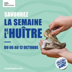 12 Huîtres Lebon N3